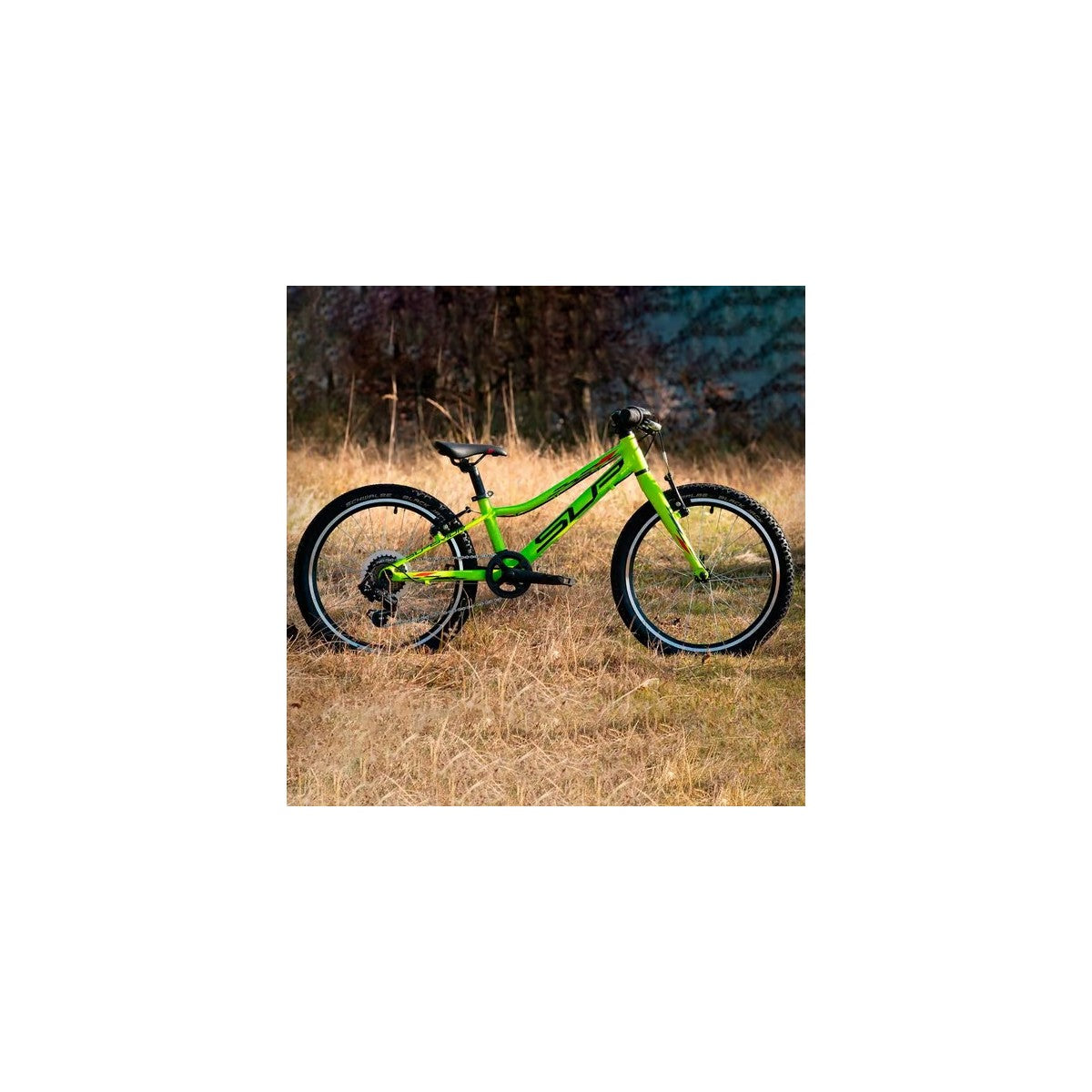 RACER XC 20 SUPERIOR