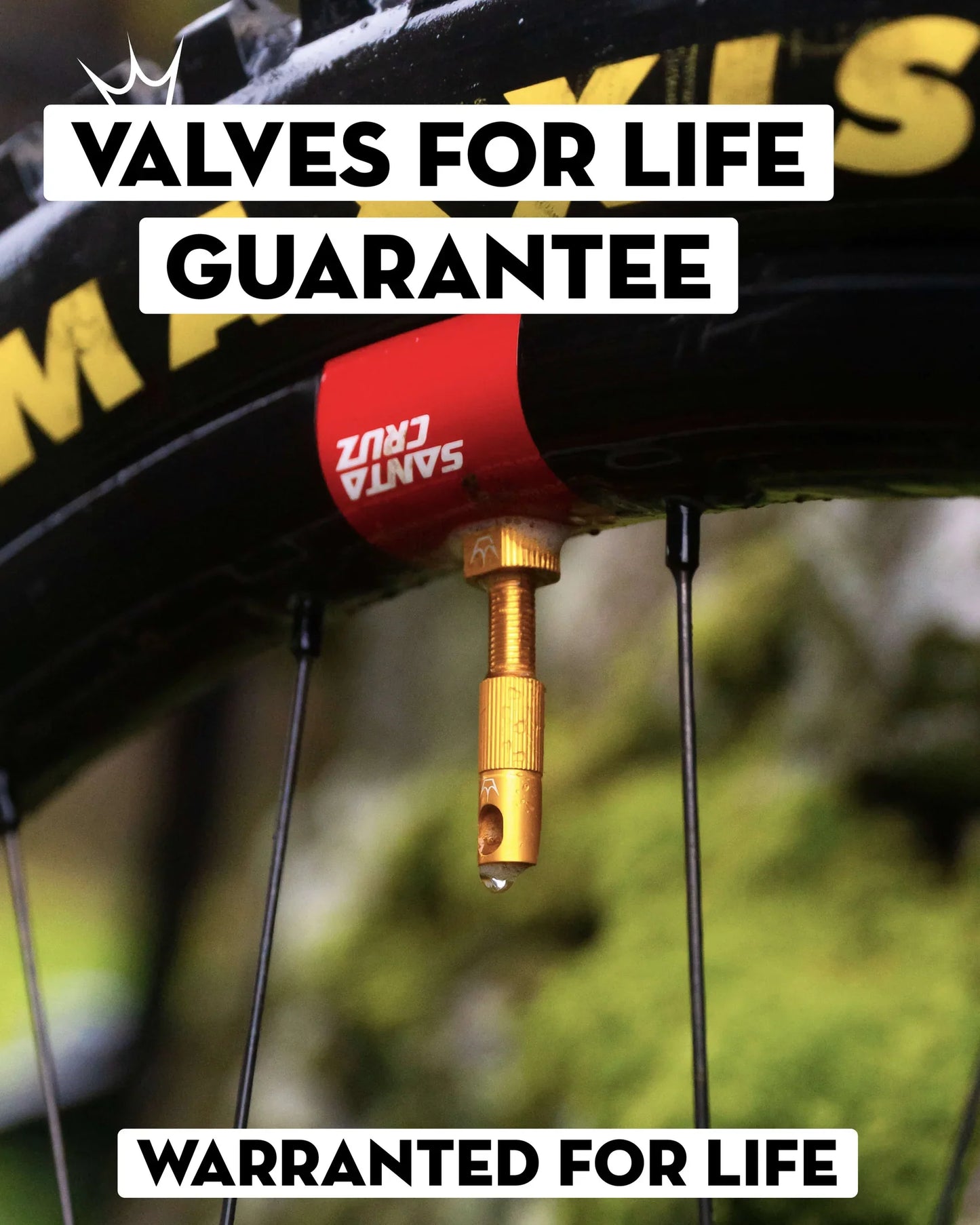 Valves Tubeless Peaty's MK2 Chris King 60mm