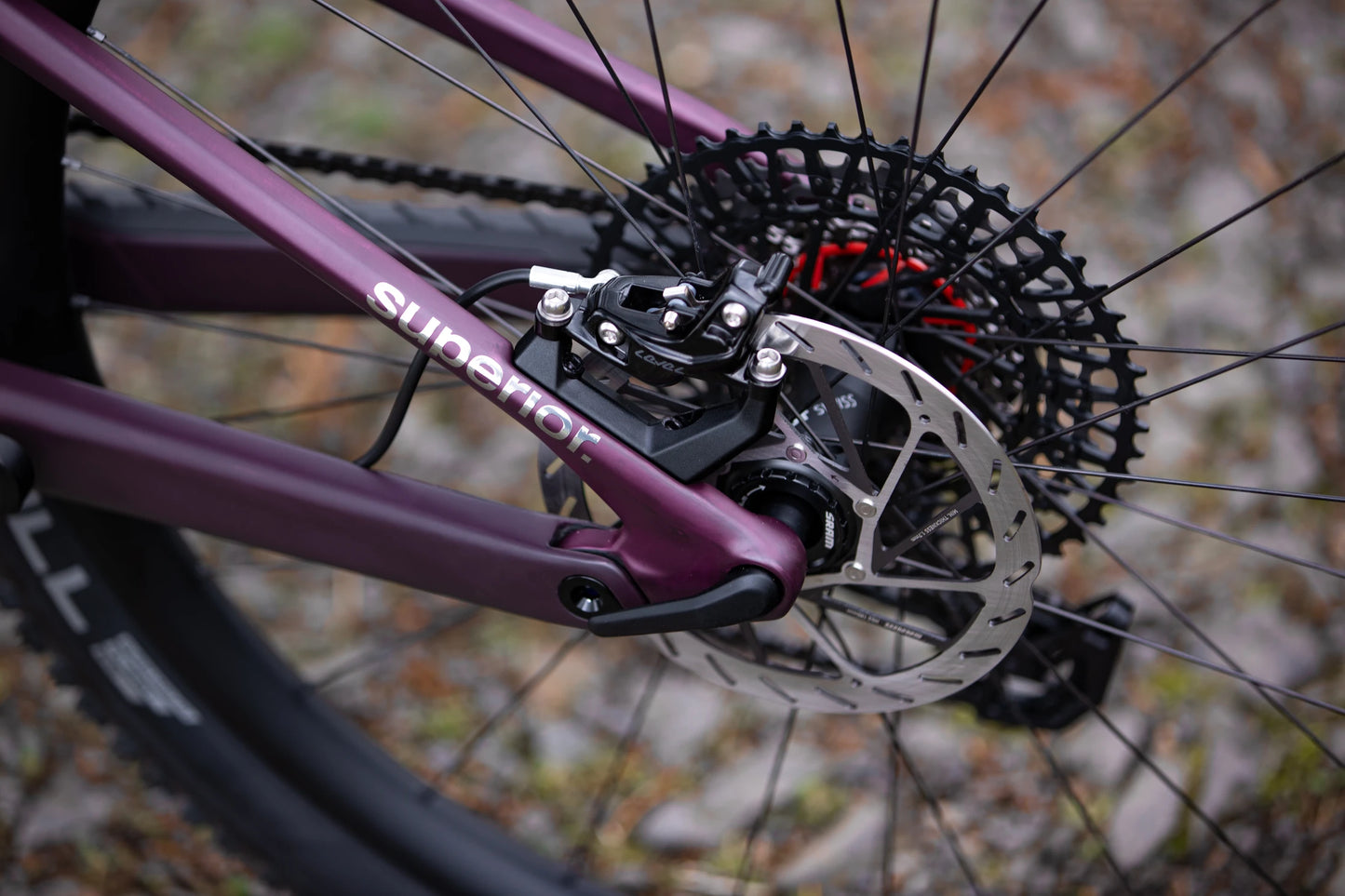 VTT Électrique Superior iXF 9.8 Matt Berry / Carbon 2025