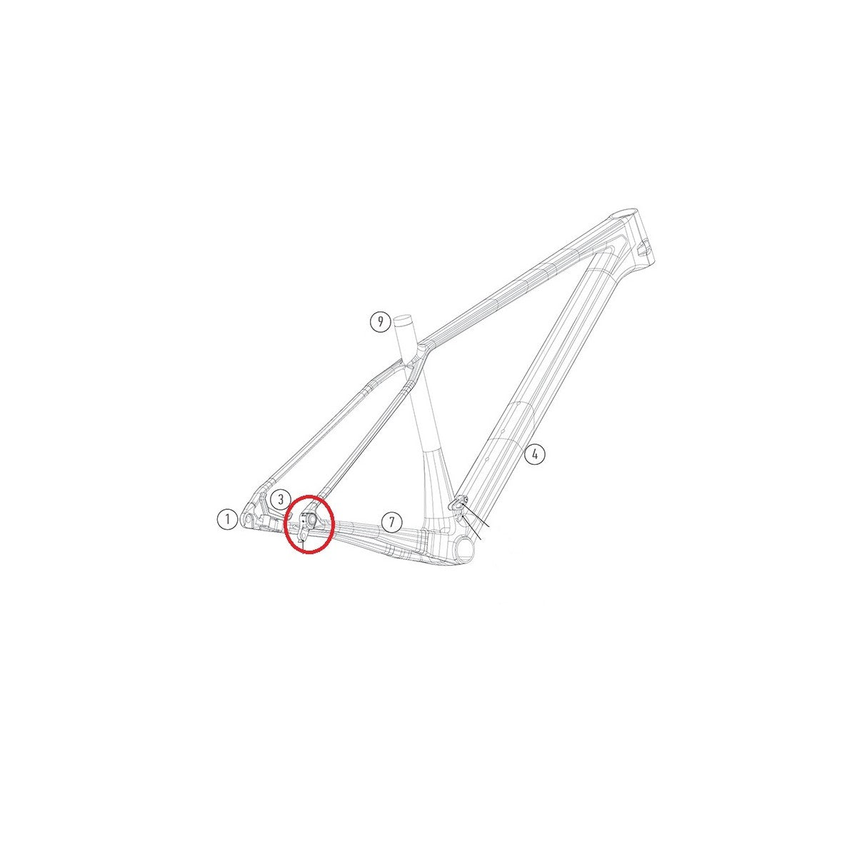 PATTE XP CARBONE 2020/21