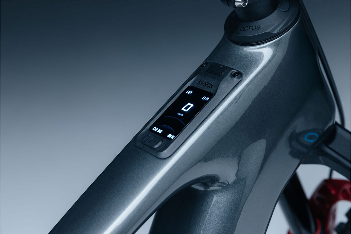 Steppenwolf Tundra 10.0 Titanium Grey — VTTAE All-Mountain Avinox M2S