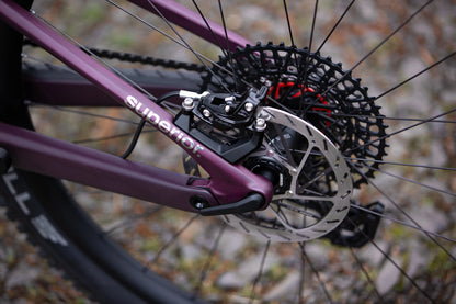 VTT Électrique Superior iXF 9.8 Matt Berry / Carbon 2025