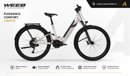 VTC Électrique Rock Machine Crossride e450 FS Touring 500Wh
