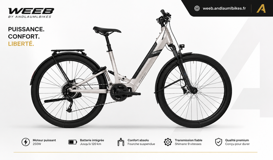 VTC Électrique Rock Machine Crossride e450 FS Touring 500Wh