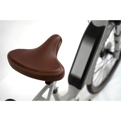 Granville E-Absolute 24 Plus